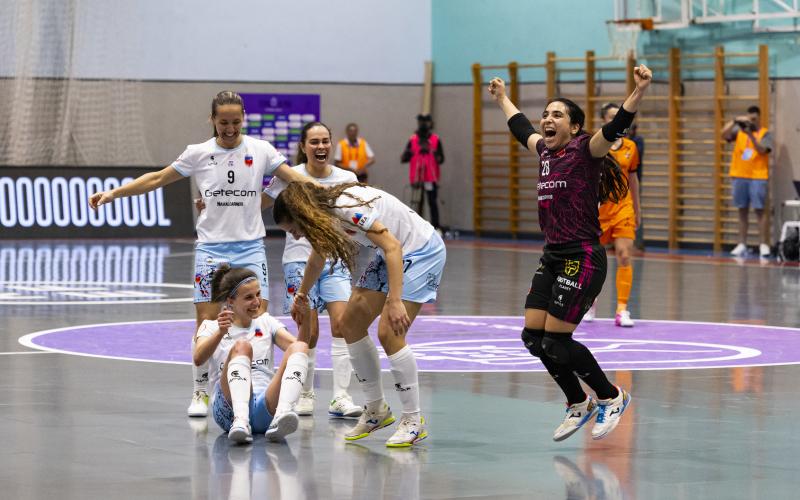 Subcampeonas de la Copa de la Reina